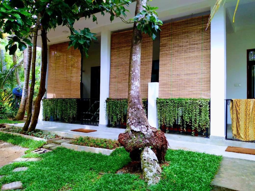Mn House Hotel อูนาวาตูนา ภายนอก รูปภาพ